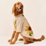 Sunflower_Pullover_TFD_7