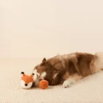 The Foggy Dog_Fuchs5