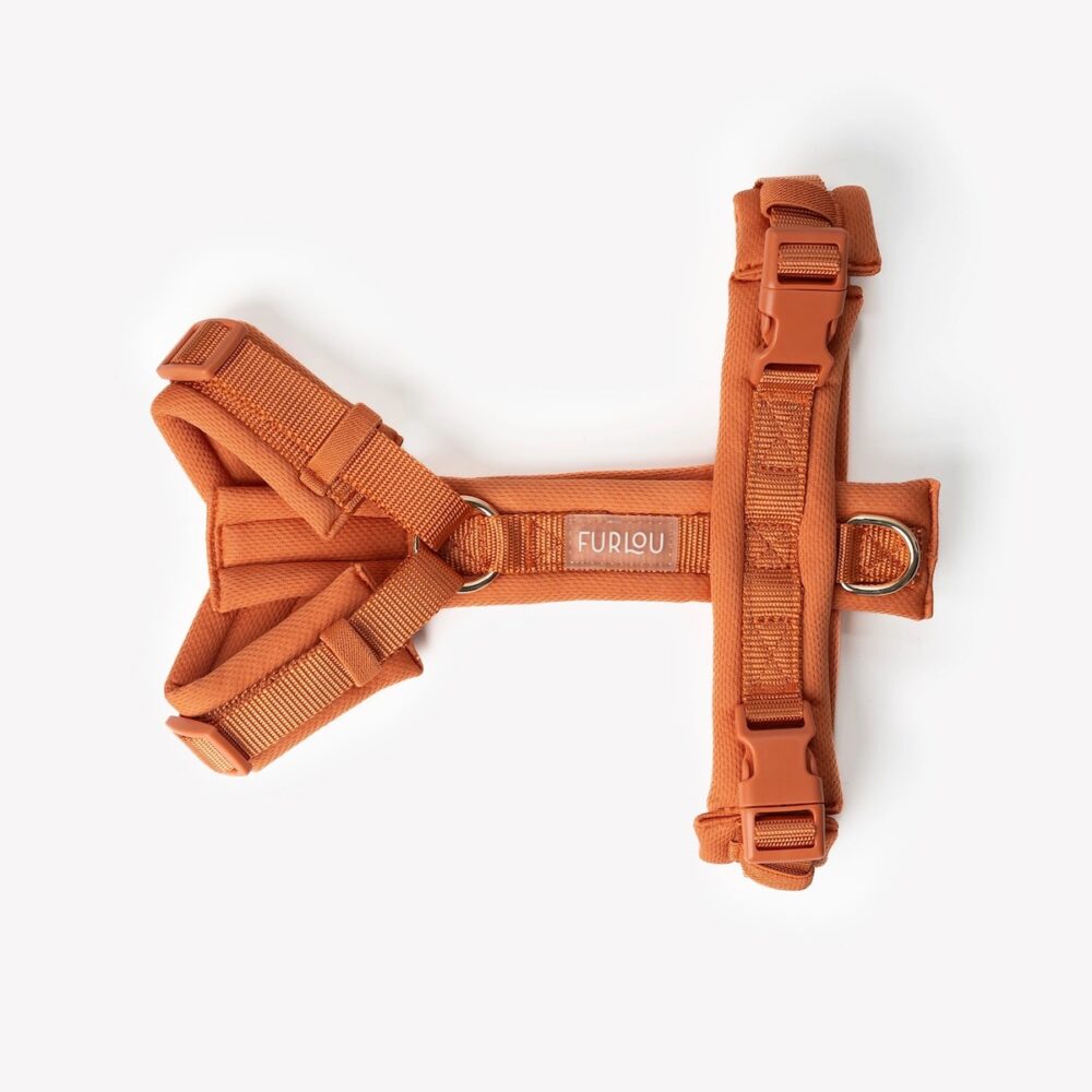 Y-Geschirr Furlou_Comfort Terracotta_1