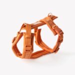 Y-Geschirr Furlou_Comfort Terracotta_2
