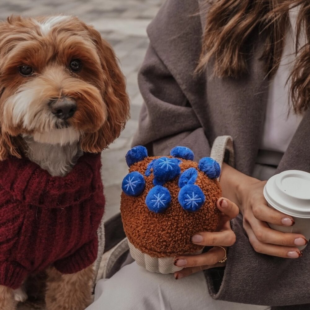 Blueberry Muffin_By Teddy_3