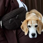 Emma Teddy-Fleece Brownie2