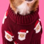 HoHoHo Pullover_TFD_5