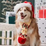 Holly Bobble - Strickschal – Bild 2