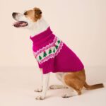 Merry and Bright Fair Isle Pullover_TFD_5