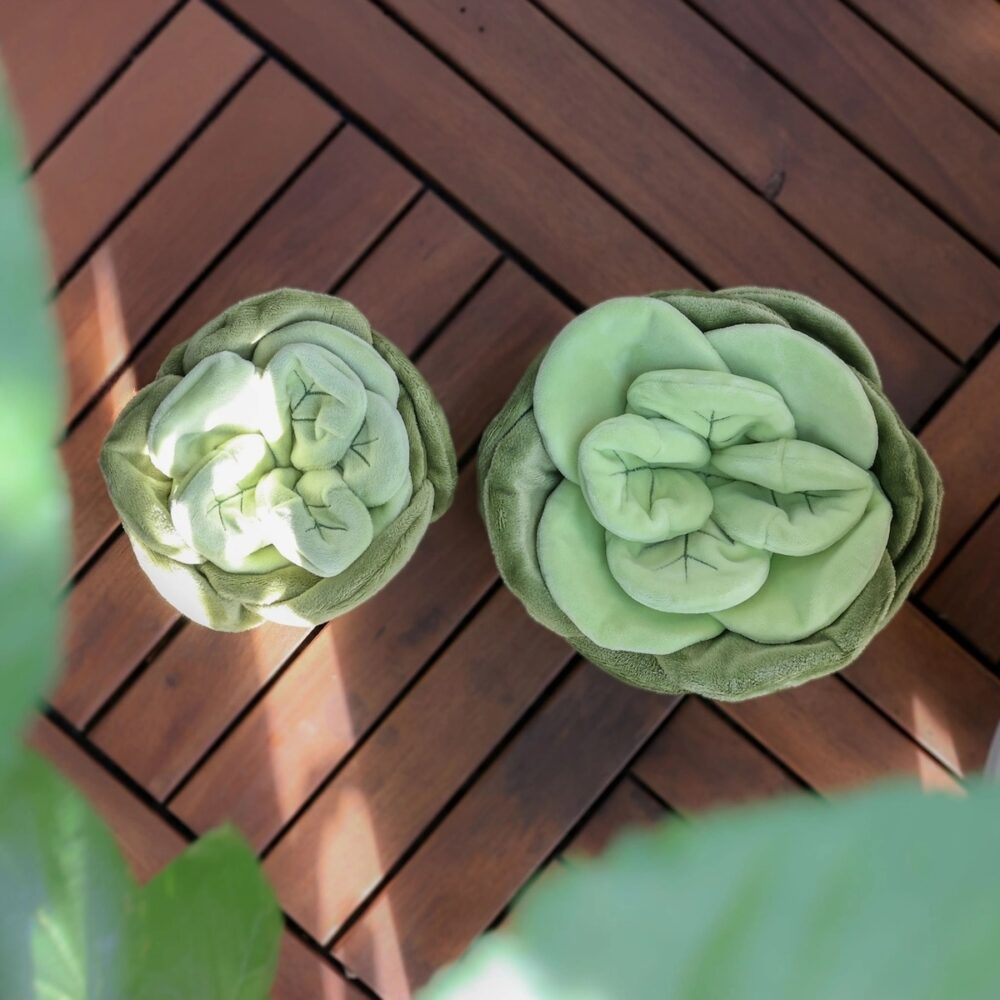 Pups&Bubs_Jumbo Schnüffel Kohl_2