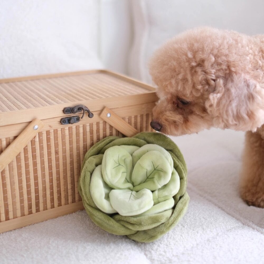 Pups&Bubs_Jumbo Schnüffel Kohl_5