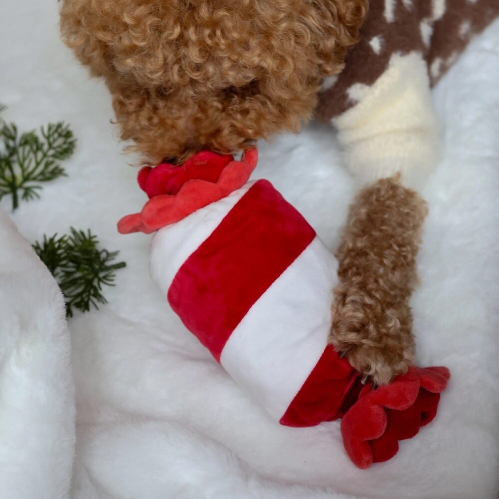 Pups&Bubs_Schnüffel Zuckerstange_2