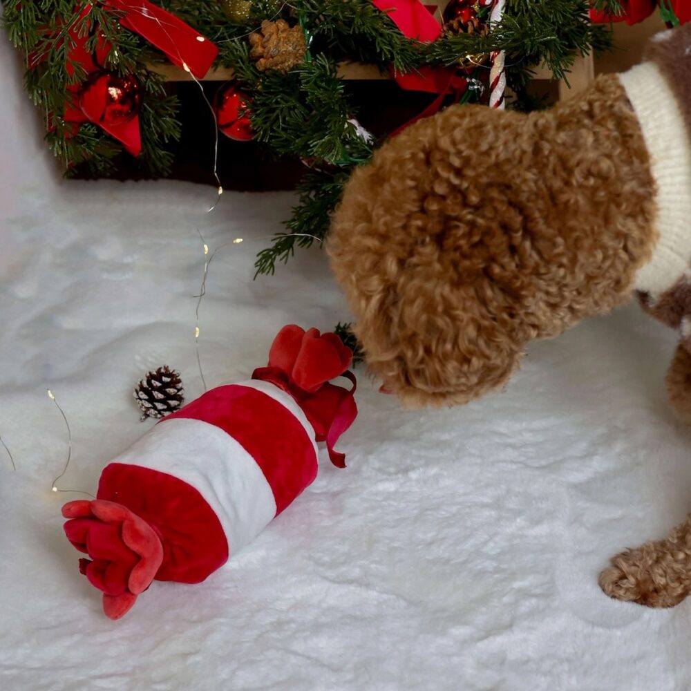 Pups&Bubs_Schnüffel Zuckerstange_4