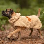 Sherpa Hundeshirt Taupe_PAIKKA_1
