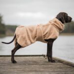 Sherpa Hundeshirt Taupe_PAIKKA_6