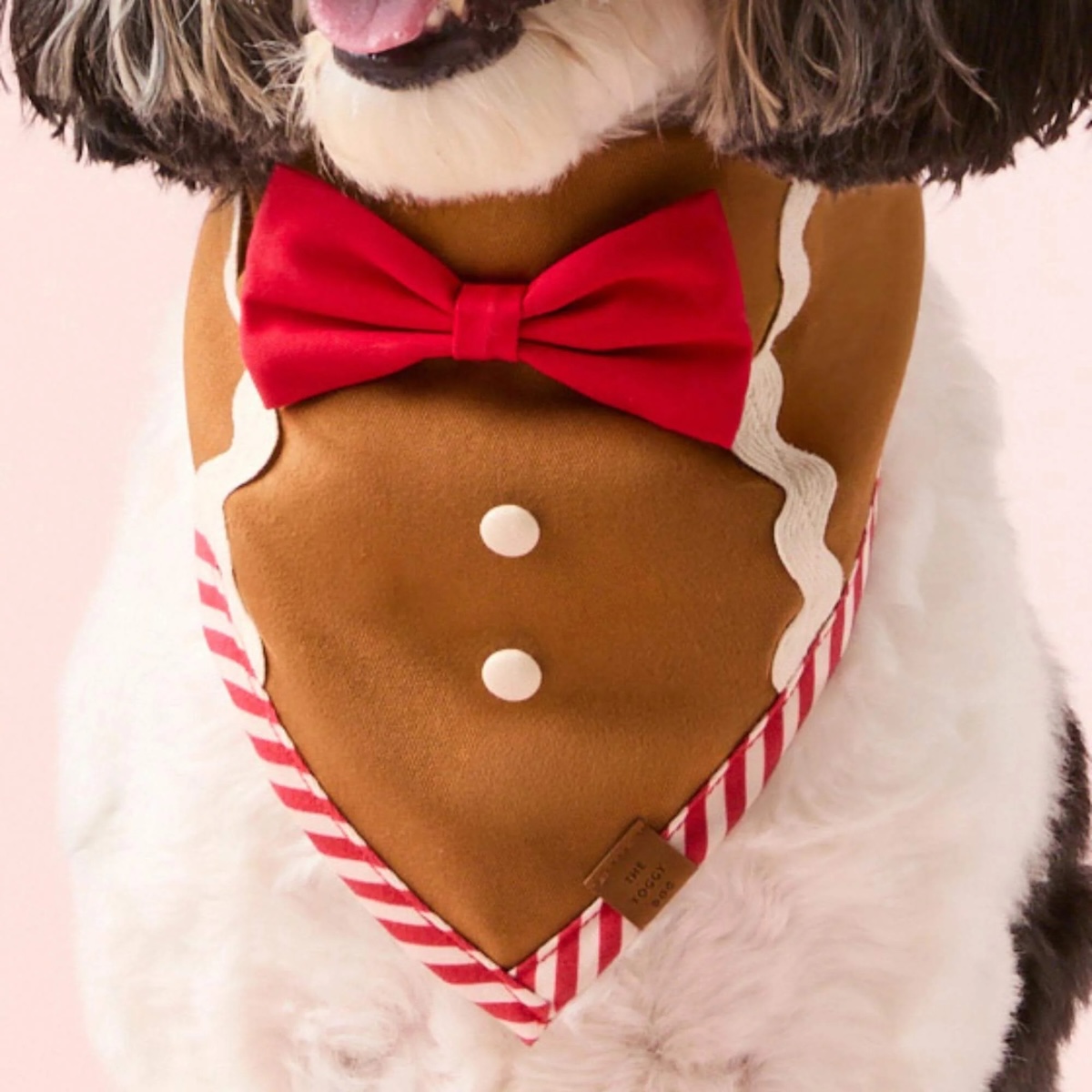 Sugar and Spice Bandana TFD2