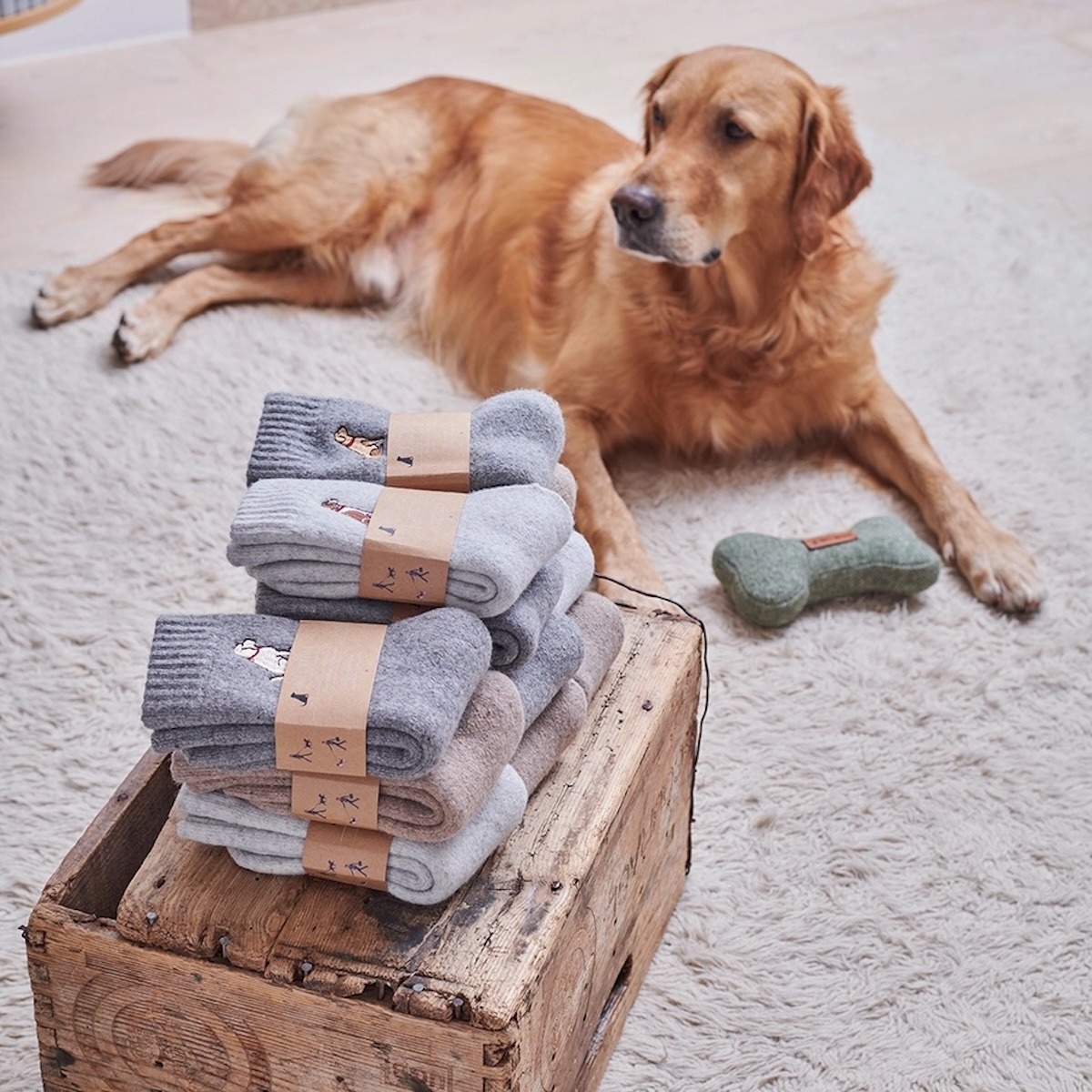 Sweet William_ Socken_2 Sweet William_ Socken_2