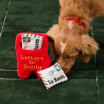 TFG_Hundespielzeug_Briefe Für Santa_4