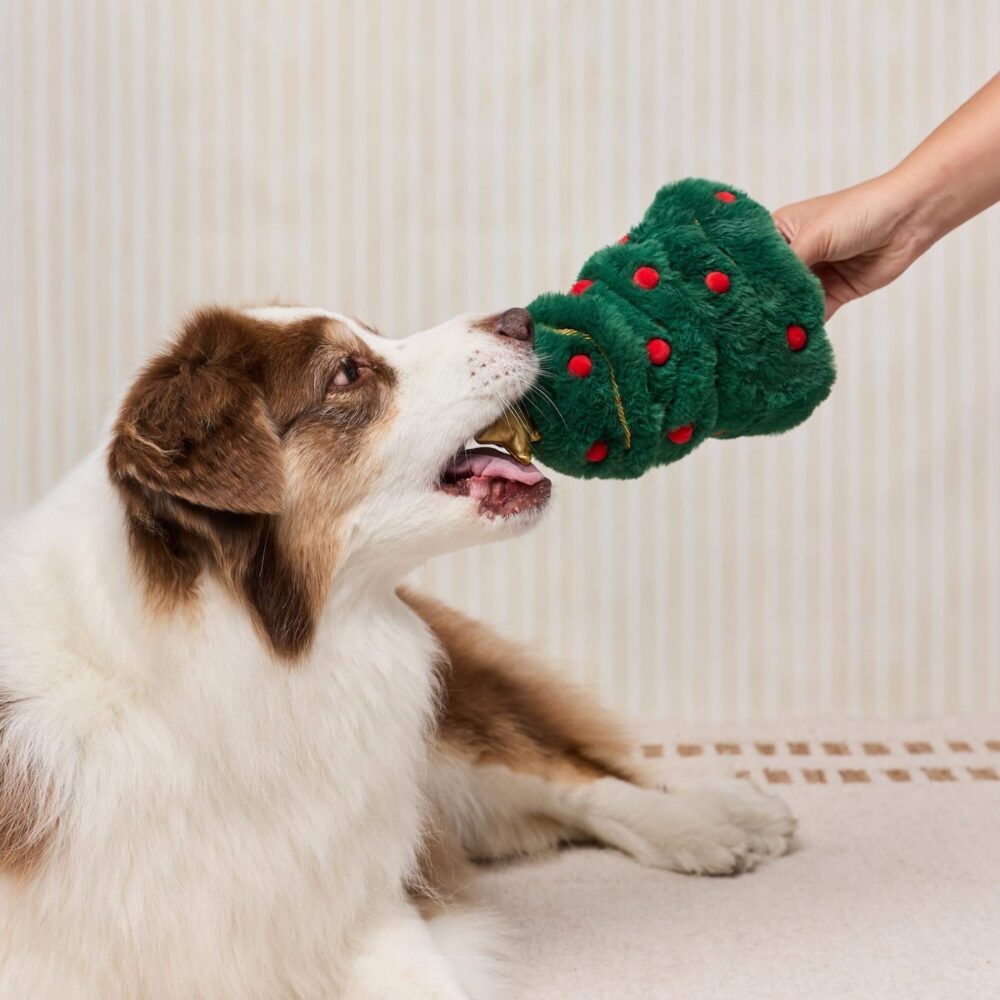 TFG_Hundespielzeug_Christbaum_3