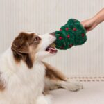 TFG_Hundespielzeug_Christbaum_3