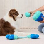 TFG_Hundespielzeug_Handschuhe & Kappe4