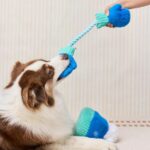 TFG_Hundespielzeug_Handschuhe & Kappe5