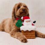 TFG_Hundespielzeug_Santa_Kamin_6