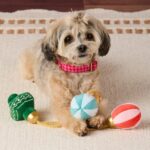 TFG_Hundespielzeug_Weihnachtskugeln_4