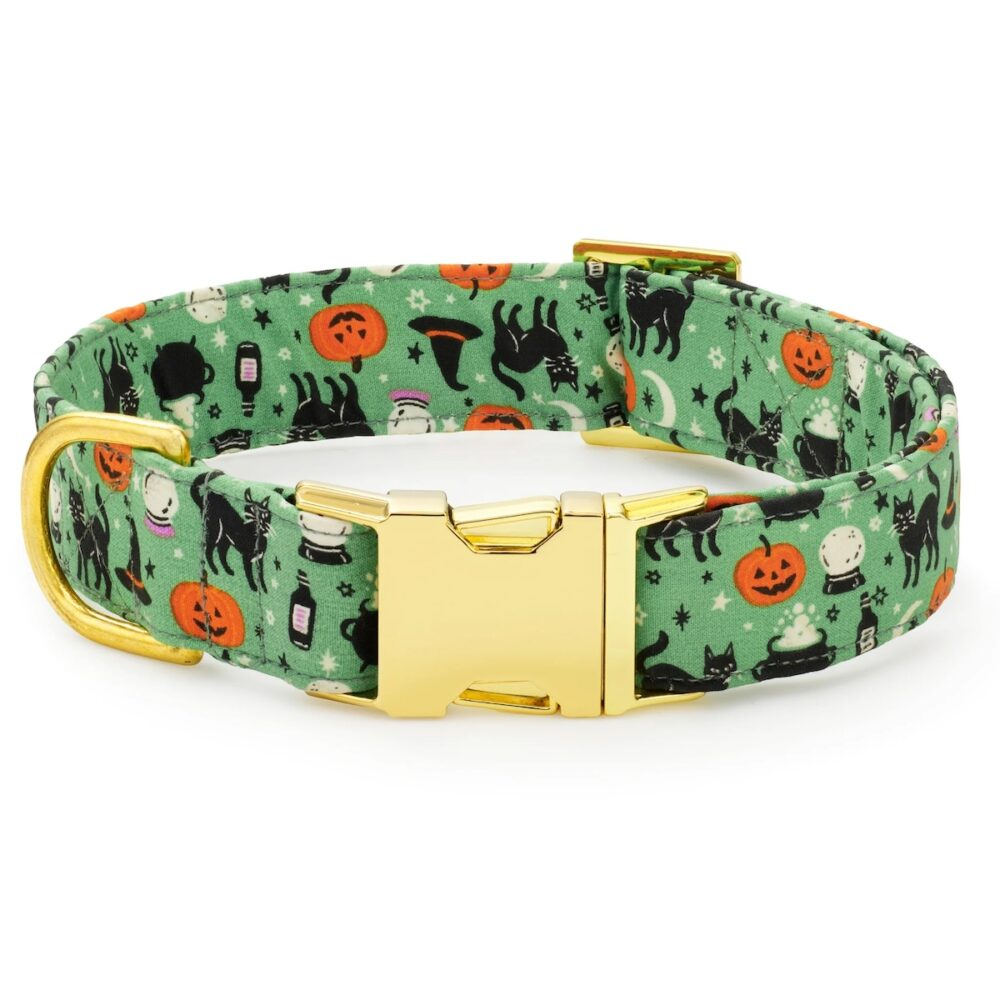 TFG_Spellbound Dog Halsband_1