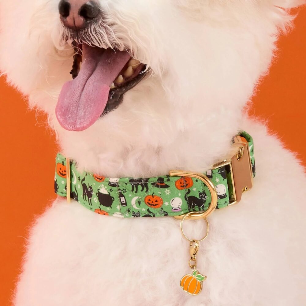 TFG_Spellbound Dog Halsband_3