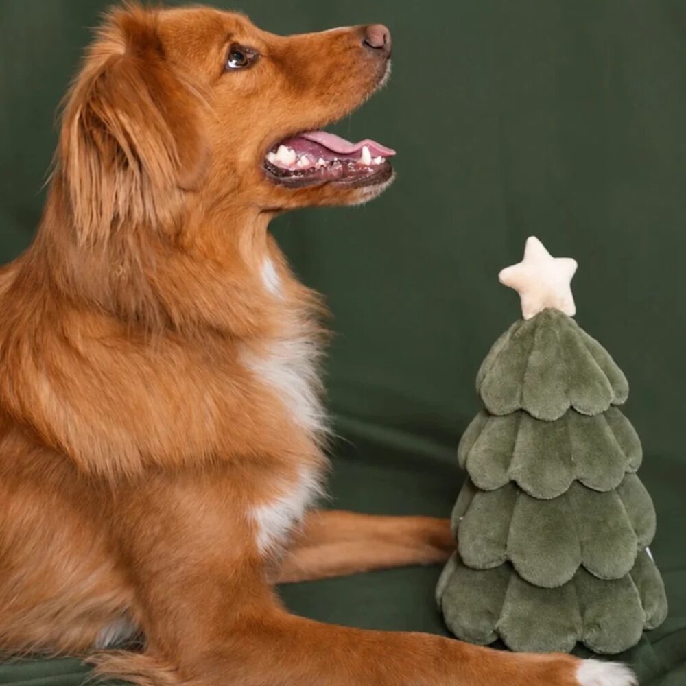 Tannenbaum_Modernbeast_2