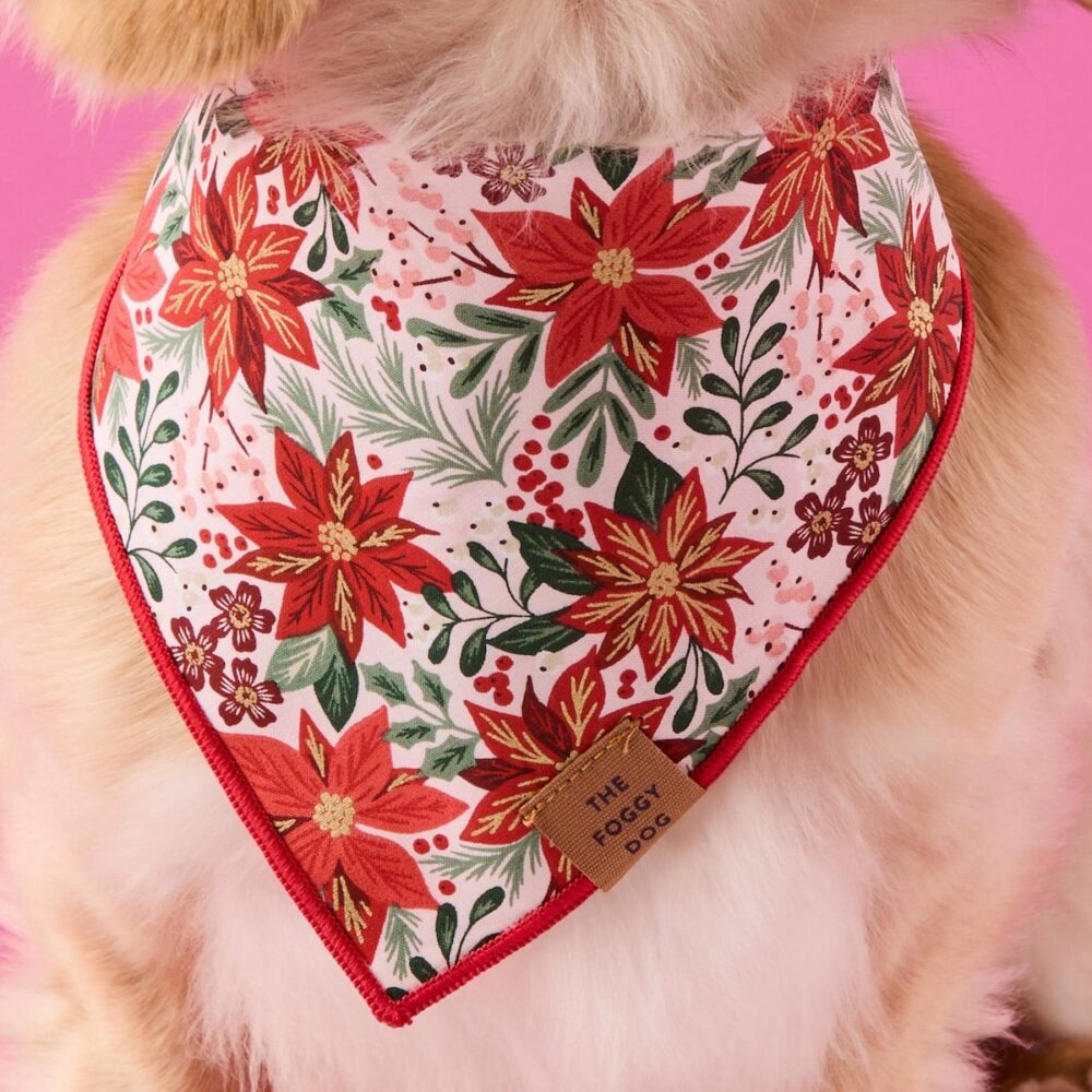 Weihnachtsstern Bandana TFD2
