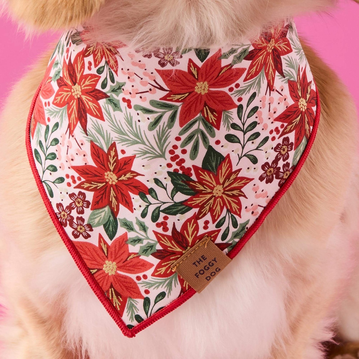 Weihnachtsstern Bandana TFD2