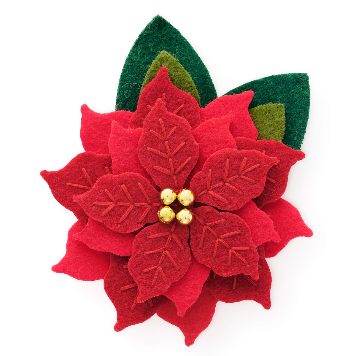 Weihnachtsstern Halsbandblume_TFD_3